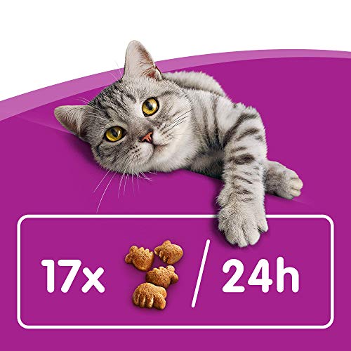 Whiskas Dentabites de 40g para higiene oral de uso diario para gatos (Pack de 8)