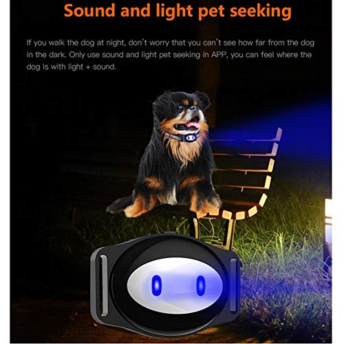 WLDOCA Rastreador GPS de Mascotas para Perros y Gatos yPlanificador de Acondicionamiento Físico