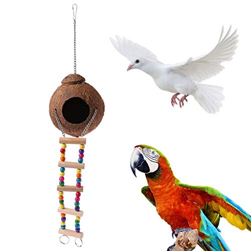 Xiaoyao24 - Jaula de coco natural para pájaros con escalera para loros, loros y periquitos, juguete