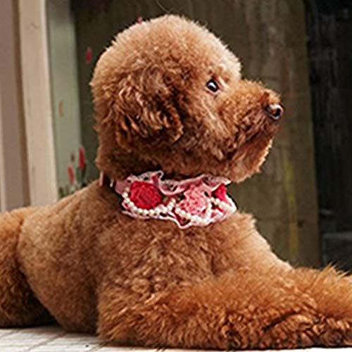 Yililay Ornamento de la Moda para Mascotas Cuello de Encaje cordón Elegante Flor de la Perla del Collar de Perro de Perrito del Gato (Rosa, S), Suministros para Mascotas Accesorios