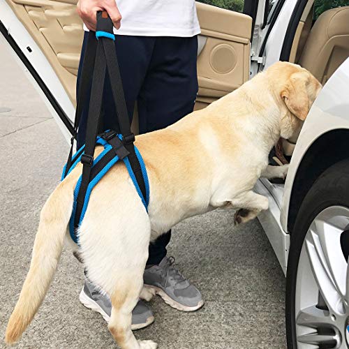 YUENA CARE Escalera para Perros Cinturón Auxiliar Mascota Pata Trasera Soporte para Caminar Correa Lesión por discapacidad