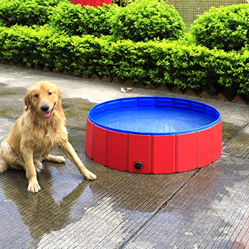 ZY123 Piscina Plegable para Mascotas Piscina portátil de PVC Piscina para Perros Baño para niños Perros Gatos Juguete al Aire Libre Piscina Pooldog Bañera