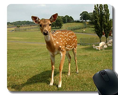 Alfombrilla para ratón Antideslizante para computadoras de Escritorio, Ciervos Fawn Deer Sika - Bordes cosidos