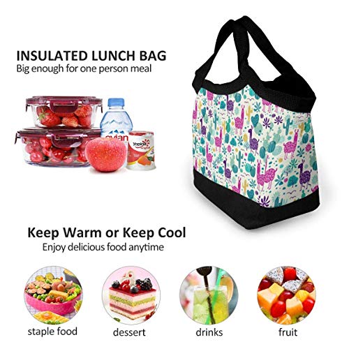 Almuerzo Bolso Lunch Bag Insulated Lunch Box Tote Bag Lunch Organizer Lunch Holder for Women/Men/Beach/Party/Boating/Office/Fishing/Picnic(Llama Cactus Wilderness)