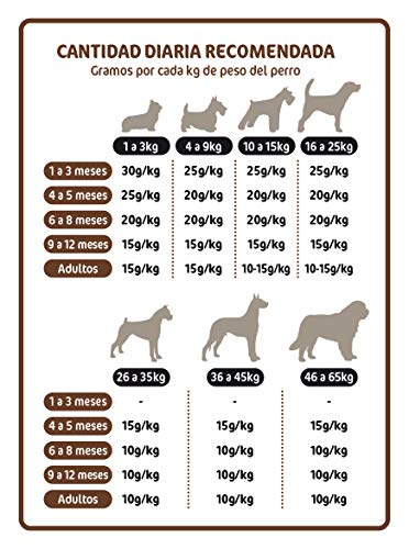 ALTUDOG Alimento Natural deshidratado para Cachorros Wagyu SIN Cereales Puppy 1Kg - Comida Natural para Perros (1Kg)