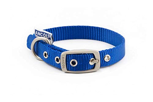 ANCOL Patrimonio Nylon Collar de Perro, pequeño, Color Azul