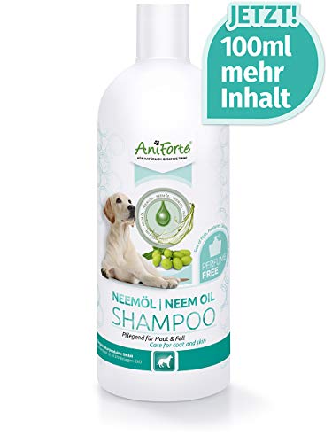 AniForte Aceite de Neem Champú 500ml - champú para perros sin fragancia, producto de cuidado para el picor, agradable para la piel, fácil de peinar, olor agradable