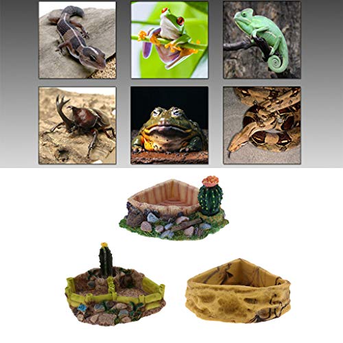 B Blesiya Tazón Comida Agua Plato Reptil Terrario Complimentos Mascota Color Brillante Ecológico Duradero - 13x10x3cm