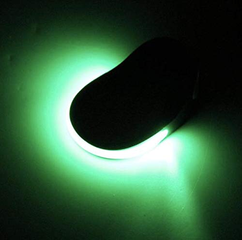 Bax Equine Pinzas LED Intermitentes para Zapatos y Botas, 2 Unidades, Color Verde