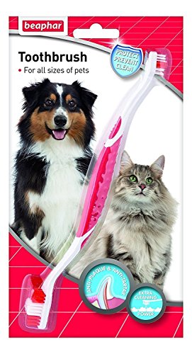 Beaph-ar Placa para Perros con Diseño de Cachorros dentales para el Cuidado bucal de los Dientes y Las Encías saludables