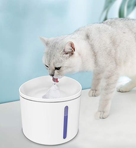Bebedero automático para mascotas, dispensador de agua para gatos inteligente de 1L, mini dispensador de agua potable con filtro doble, agua circulante totalmente automática, adecuado para perros y