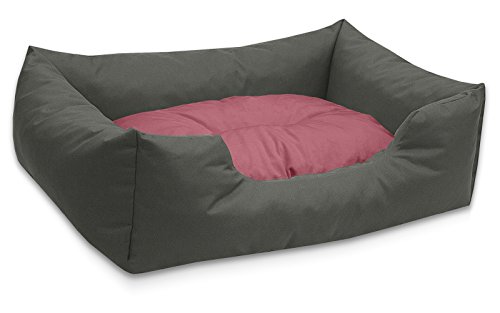 BedDog® colchón para Perro Mimi S hasta XXXL, 26 Colores, Cama, sofá, Cesta para Perro, XL Gris/Rose