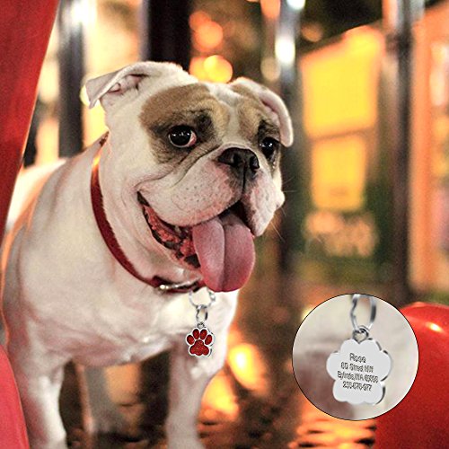 Beirui Placas de identificación Huellas Personalizadas en Acero Inoxidable de 24 mm para Perros y Gatos, con Grabado láser, Rojo, S (0.9" diámetro)