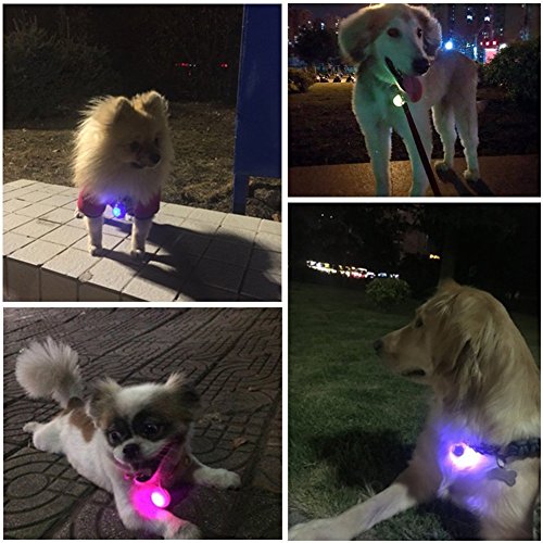 Bello Luna Collar de Perro Luz LED, Luz de Seguridad para Mascotas con Clip de 3 Piezas para Gatos y Perros Montajes de montaña Collar de suspensión Circular Luminoso Resistente al Agua - Rojo