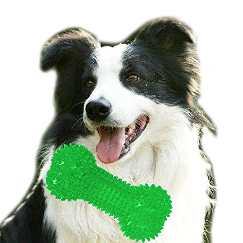 Bibetter - Juguete para Masticar y Masticar para Perros, Resistente a mordidas, no tóxico, Suave, de Goma Natural TPR, para Masticar Dientes, Juguete de Anillo de Limpieza (Verde)