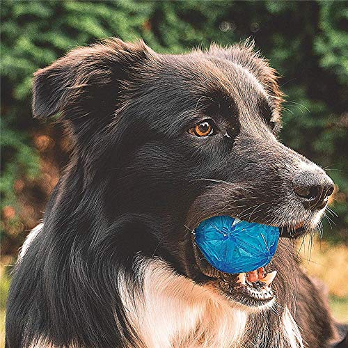 Bola Mágica para Mascotas, Bola de luz LED, Carga USB Bola Giratoria Automática para Perros, Juguetes interactivos para Perros (Azul)