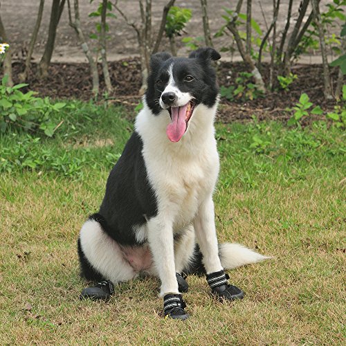 Botas protectoras para perros, Royalcare Mesh Botas transpirables para mascotas con suela antideslizante antideslizante y resistente al desgaste Apto para perros medianos y grandes Negro (4#)
