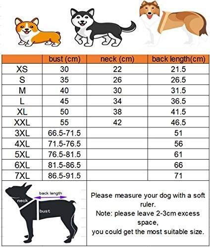 BTXX Impermeable Perro Transparente for pequeñas, Medianas y Grandes Perros a Prueba de Agua 4-Pierna Chaqueta Impermeable for Mascotas Ropa Capa de Lluvia (Size : M)