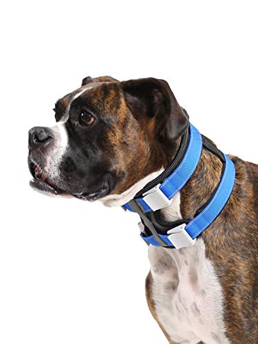Cesar Millan Pack Leader Collar™ (Mediano, Azul)