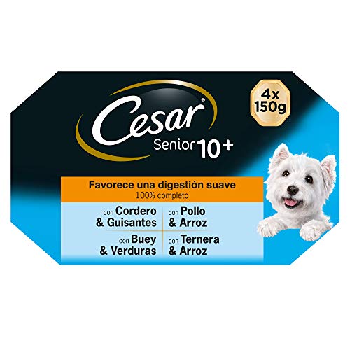 Cesar Multipack de 4 tarrinas de 150g para perro senior (Pack de 6)