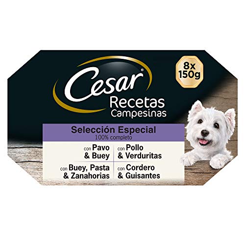 Cesar Multipack de 8 tarrinas de Recetas campesinas para perro de 150g selección en salsa (Pack de 3)