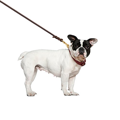 Collar de piel para perro, duradero y cómodo, de piel auténtica, para perros grandes, medianos y pequeños, ajustable de 14,3-18,4 pulgadas