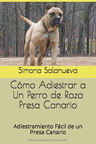 Cómo Adiestrar a Un Perro de Raza Presa Canario: Adiestramiento Fácil de un Presa Canario