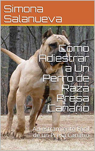 Cómo Adiestrar a Un Perro de Raza Presa Canario  : Adiestramiento Fácil de un Presa Canario