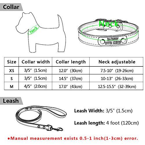 Conjunto de correa de piel ajustable y collar acolchado personalizable para perro de la marca Berry