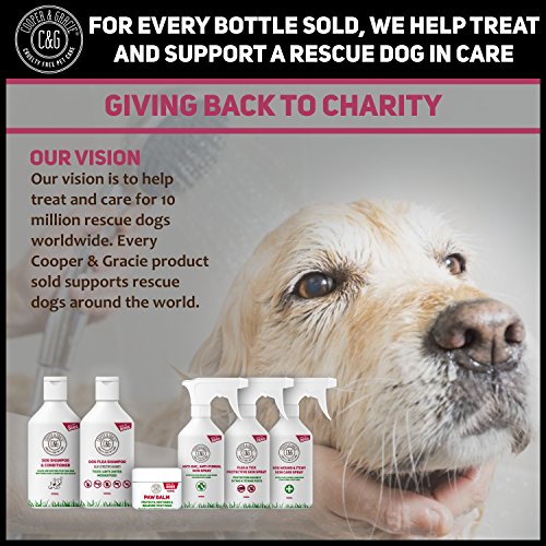 Cooper And Gracie C&G Cruelty free Pet Care Wound Spray For Dogs Health