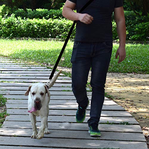 Correa de Mascota, 15mm * 2m Perro Formación Correa Cachorro Manos Libres Plomo Doble de Plomo para Entrenamiento al Aire Libre, Caminar, Correr - Negro