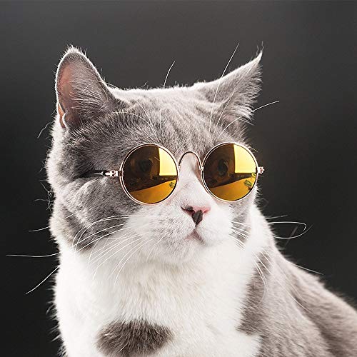Crazy Genie Divertidas Gafas de Sol para Mascotas y Collar de Cadena de Oro, Collar de Perro Gato, Accesorios de Fotos para Fotos de Mascotas (6 Unidades)