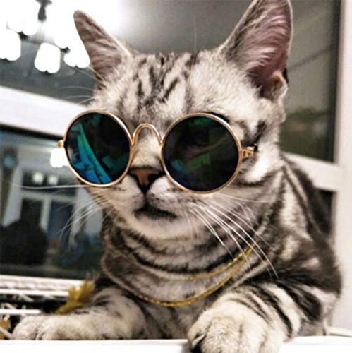 Crazy Genie Divertidas Gafas de Sol para Mascotas y Collar de Cadena de Oro, Collar de Perro Gato, Accesorios de Fotos para Fotos de Mascotas (6 Unidades)