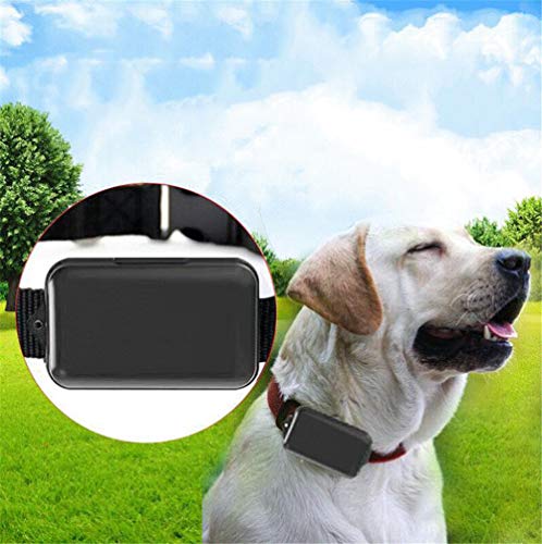 CSDY-Pet Tracker - GPS Y Monitoreo De Actividad Tracker para Perros Y Gatos - Ligero Y Compacto - Mini