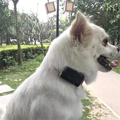 CSDY-Pet Tracker - GPS Y Monitoreo De Actividad Tracker para Perros Y Gatos - Ligero Y Compacto - Mini