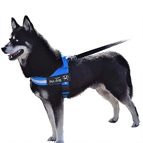 Cuerda de Perro para Caminar con Cadena de Perro con Cuerda de tamaño Mediano, Pelo de Oro Labrador Vest K9
