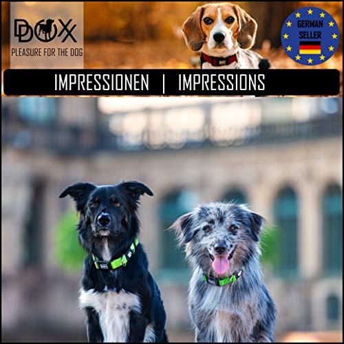 DDOXX Collar Perro Air Mesh, Ajustable, Acolchado | Diferentes Colores & Tamaños | para Perros Pequeño, Mediano y Grande | Collares Accesorios Gato Cachorro | Verde, S