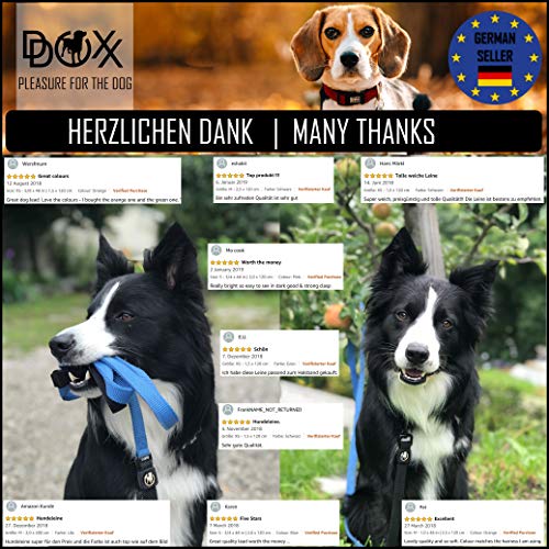 DDOXX Correa Perro Air Mesh, Acolchado, Lazo de Mano, 120 cm | Diferentes Colores & Tamaños | para Perros Pequeño, Mediano y Grande | Accesorios Gato Cachorro | Azul, M