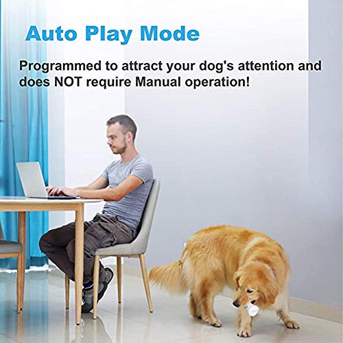 DMZH Molar para Mascotas Juguete para Mascotas Robot Perro, Balancines Virtual Visual Animal Doméstico Divertido Carga Artefacto USB, Fácil De Limpiar,Blanco