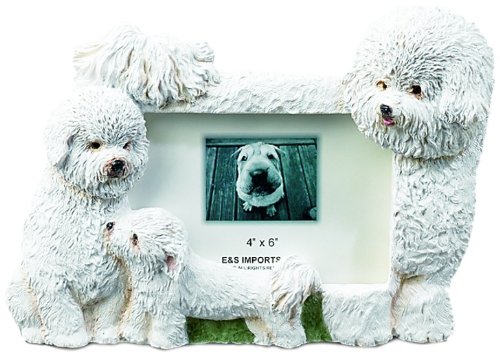 E y S mascotas Bichon Frise cachorro perro 4 "x 6 marco de fotos