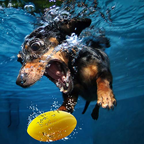 EETOYS Juguete para Perros Ruidoso, Juguete para Buscar Agua, Juguete para Perros Flotante para Nadar y Jugar Interactivo