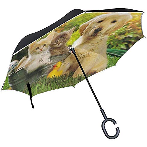 ETGeed Paraguas invertido Golden Retriever Fotos y Gatos Paraguas inverso