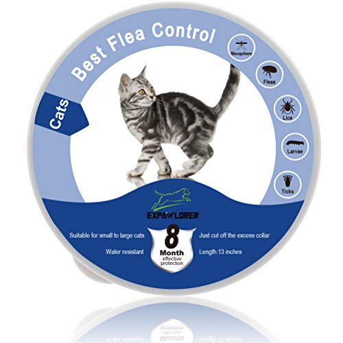 EXPAWLORER Collar Impermeable para pulgas y garrapatas para Gatos, protección de 8 Meses, el Mejor Tratamiento para Control de pulgas para Gatos y Gatitos