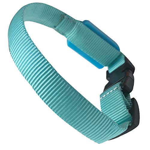 EXPERSOL - Collar para Perro con luz LED, Funciona con Pilas, Mayor Visibilidad y Seguridad, 4 Colores (Azul Grande)