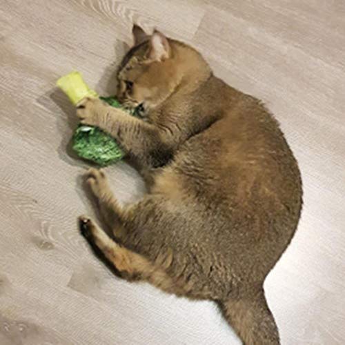 FHKGCD Squeaky Pet Cat Toys para Gatos Catnip Plush Cat Toy Plush, Pata De Pollo, Traje De Tela para Perros