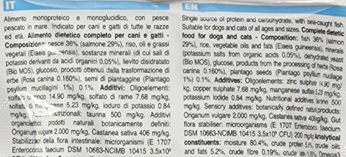 FORZA Forza10 - Alimento Intestinal Active para Perro y Gato, con Pescado, 100 g. Paquete de 12 Unidades