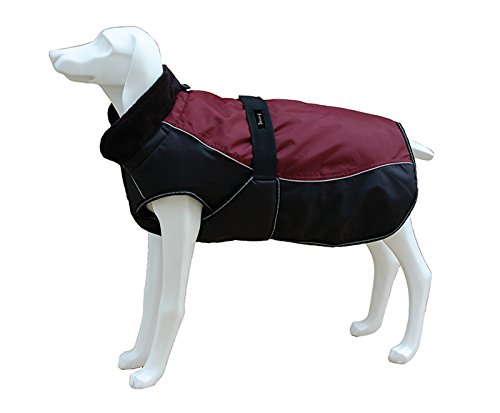 Freedog FD5000994 - Abrigo Impermeable, para Perro, Color Granate