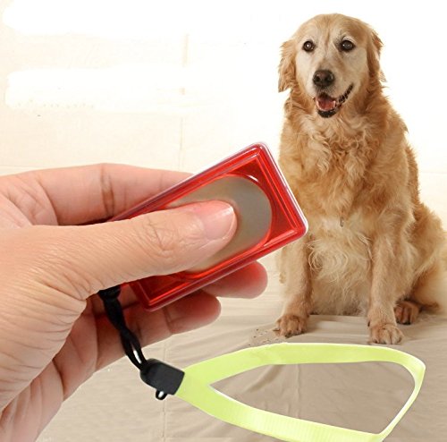 Fully 3 X Botón de adiestramiento de mascotas con correa para la muñeca Entrenador de cachorros Guía de obediencia Perros