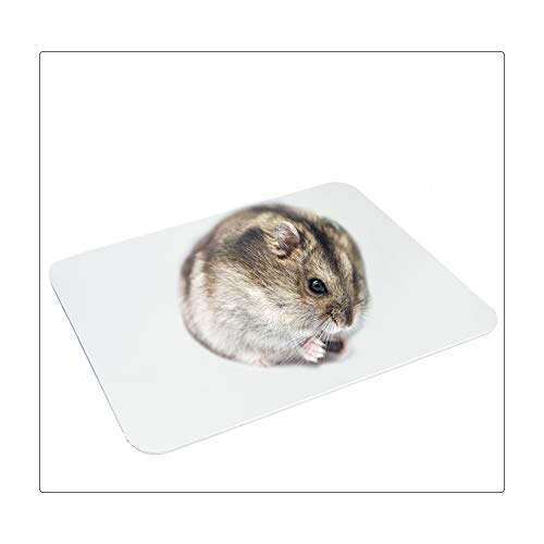 FurPaw Alfombra de Enfriamiento para Mascotas Almohadilla Autoenfriamiento Animales Pequeños para Hamster Conejillo de Indias Gato Conejo - 25 * 21cm