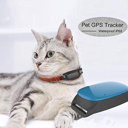 HAJZF Localizador GPS para Mascotas A Prueba De Agua, Función De Alarma De Inducción Magnética/Detección De Vibración/Detección De Sonido En La Puerta, Rastreador Anti-Pérdida para Perros Y Gatos